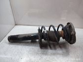 Front shock absorber with coil spring