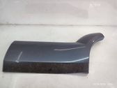 Rear door trim (molding)