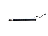 Tailgate/trunk strut/damper