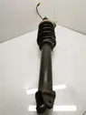 Rear shock absorber/damper