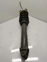 Rear shock absorber/damper