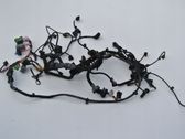 Engine installation wiring loom