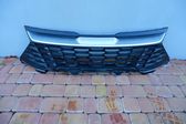 Front bumper upper radiator grill