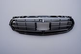 Front bumper upper radiator grill