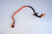 Other wiring loom