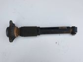Rear shock absorber/damper