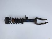 Front shock absorber/damper