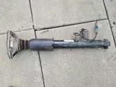 Rear shock absorber/damper