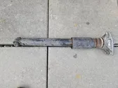 Rear shock absorber/damper