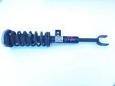 Front shock absorber with coil spring