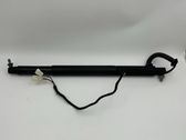 Tailgate/trunk strut/damper