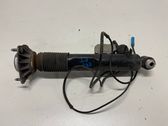 Rear shock absorber/damper