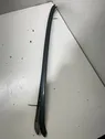 Windshield trim