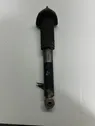 Rear shock absorber/damper