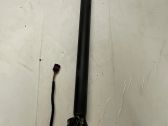 Tailgate/trunk strut/damper