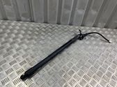 Tailgate/trunk strut/damper