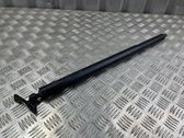 Tailgate/trunk strut/damper