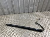 Tailgate/trunk strut/damper