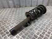 Front shock absorber with coil spring