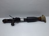 Rear shock absorber/damper