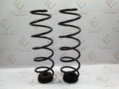 Rear coil spring