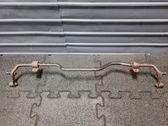 Stabilisator hinten