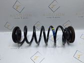 Muelle espiral trasero