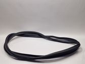 Seal rubber (tailgate)