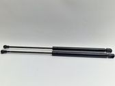 Tailgate strut