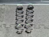 Feder hinten