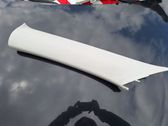 (A) pillar trim