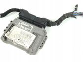 Engine control unit/module ECU