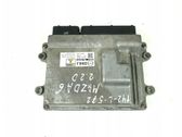 Engine control unit/module ECU