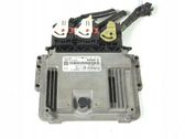 Engine control unit/module ECU