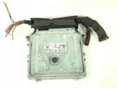Engine control unit/module ECU