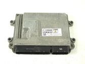 Engine control unit/module ECU