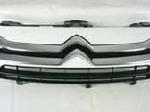 Front bumper upper radiator grill