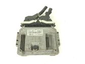 Engine control unit/module ECU