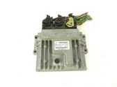 Engine control unit/module ECU