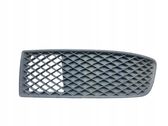 Front bumper lower grill