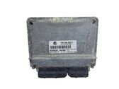 Engine control unit/module ECU