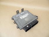 Engine control unit/module ECU