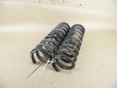 Rear coil spring