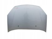 Engine bonnet/hood