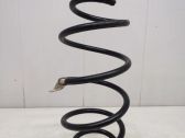 Front coil spring