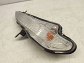 Front bumper turn signal