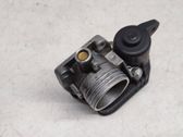 Throttle body valve