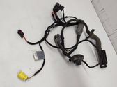 Front door wiring loom