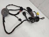 Front door wiring loom