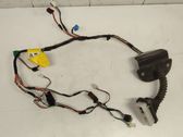 Front door wiring loom